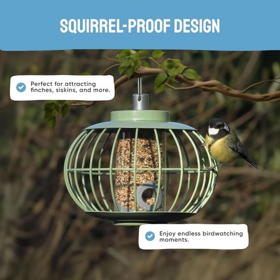 The Nuttery Squirrel-Proof Lantern Seed Feeder Celadon Green